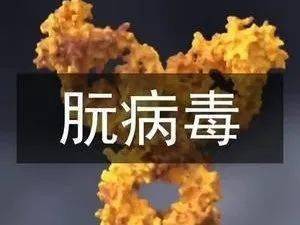 “疯牛病”是啥东东？插图2