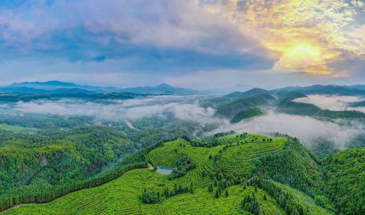松花寨生态茶园松花寨生态茶庄园位处福建省龙岩市武平县中山镇龙济村