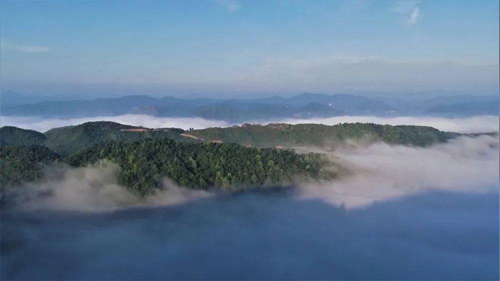 騰雲駕霧,身處畫廊六枝美麗大山中_雲霧_六枝特區_仙境