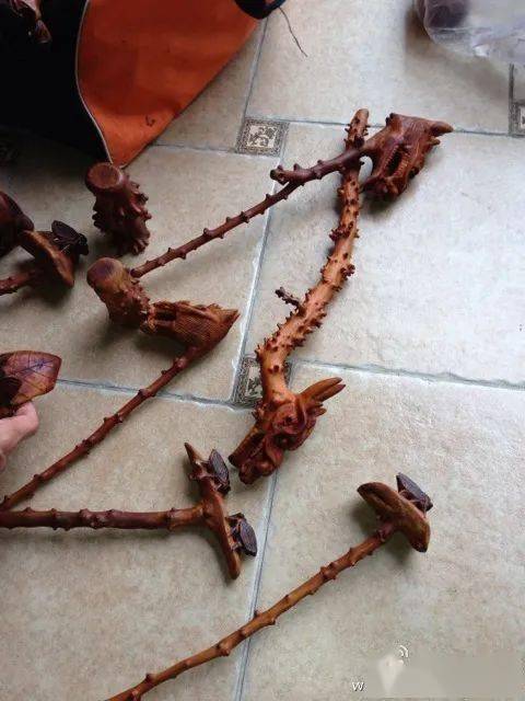 檬子木对于一些玩友来说可能不陌生,像家里老人辈的,偶尔有用它做拐杖