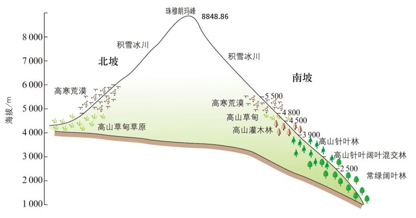 山地垂直自然带示意图图片