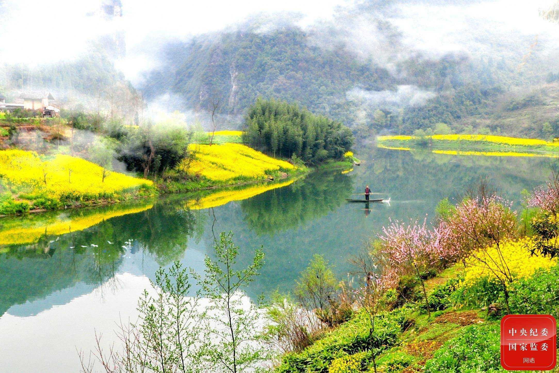 镜头丨春和景明 万物可亲_云南省_油菜_两岸