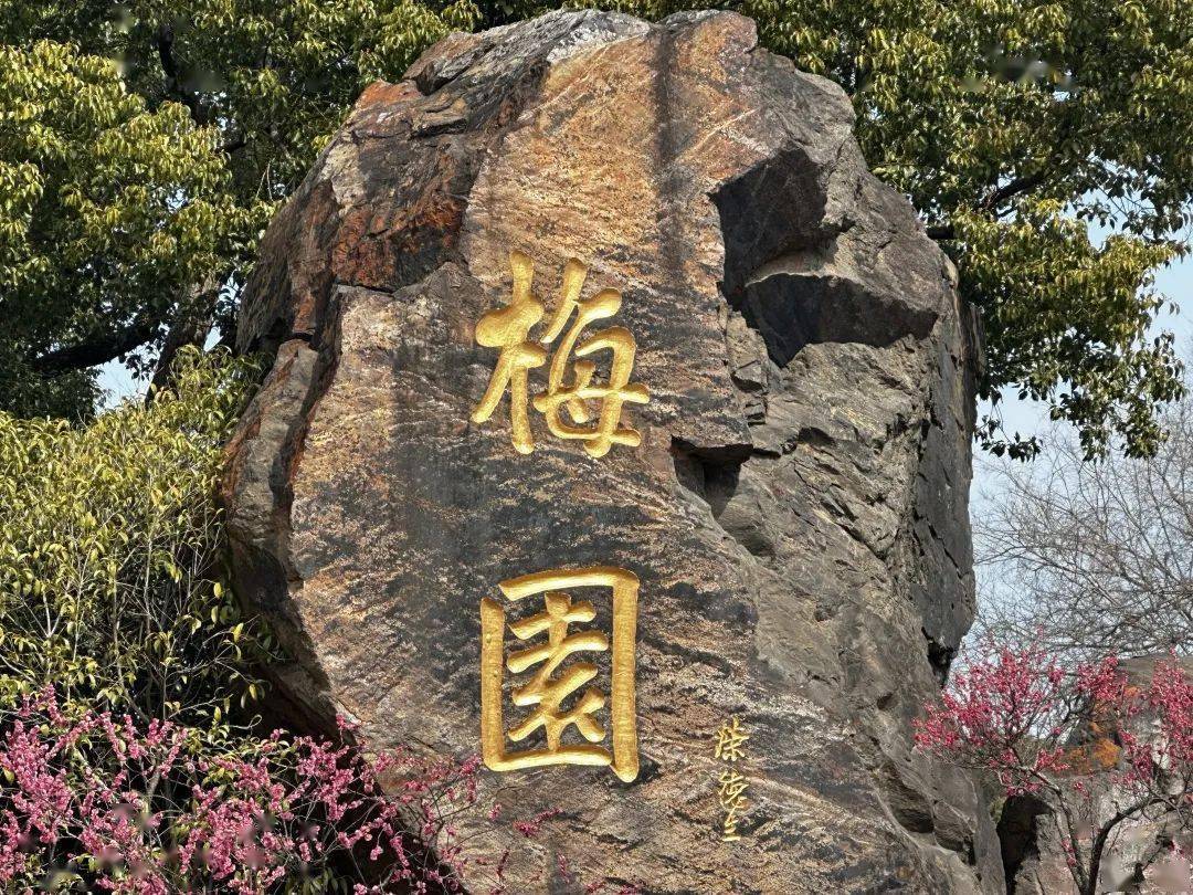 【年卡深度游】梅花vs郁金香,无锡梅园算是玩明白了!_江南_文化_荣德