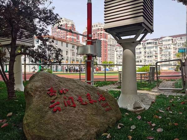 是一年春意正浓时,松江区岳阳小学校园内超300年树龄的银杏树发出新芽