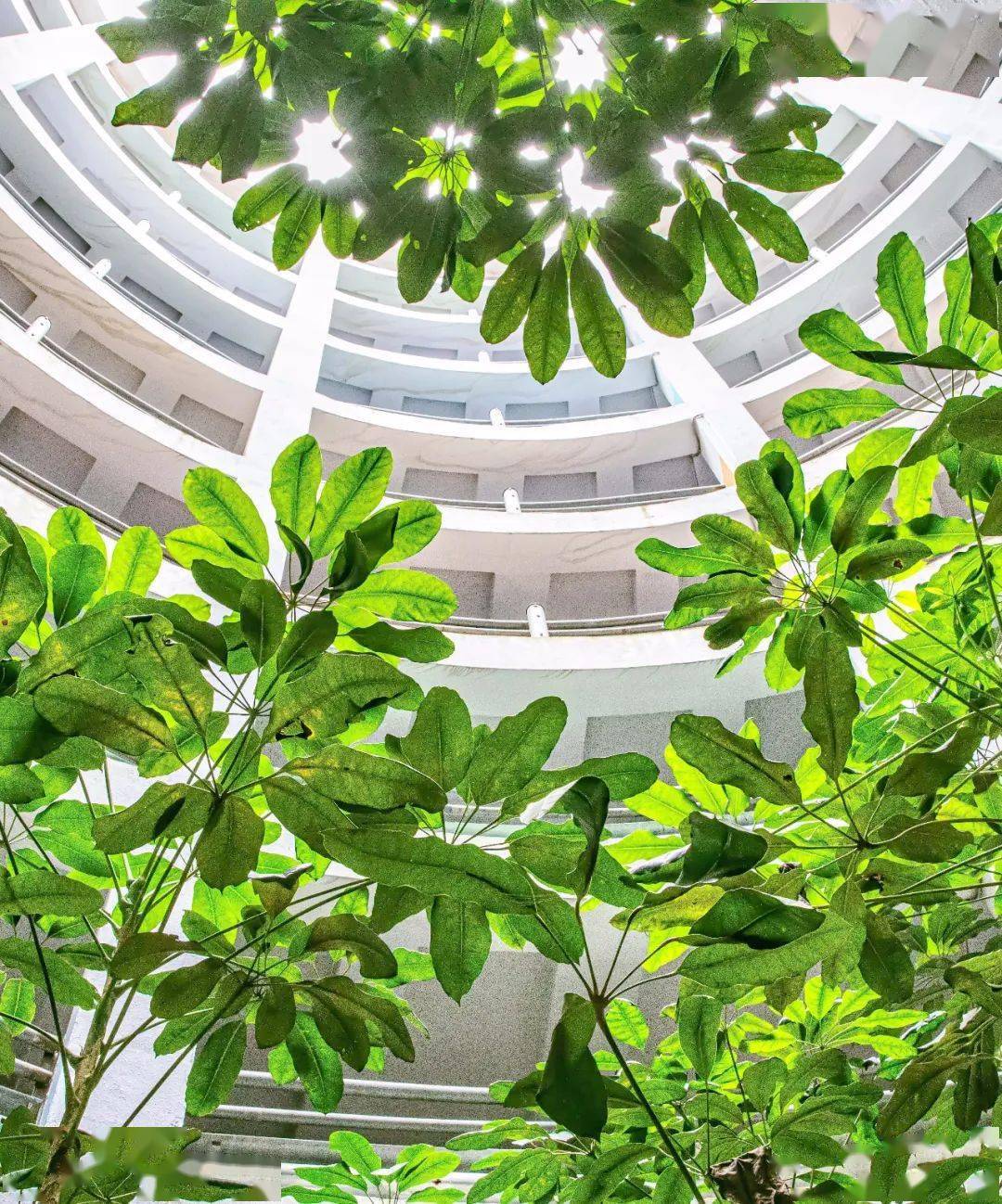 3-@张继飞弗迪精工北京园区长满了枝头春天的温柔#2-@梁锦芳产品规划