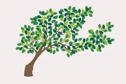 做一名云朵收藏家吧一起坠入宫崎骏的世界里溢出夏天的清甜想尝一口