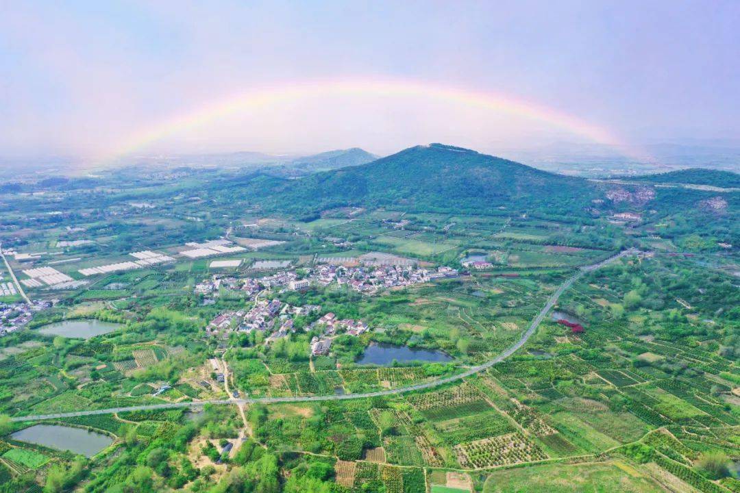 他山之石丨江苏省南京市浦口区星甸街道九华村:绿色九华 魅力乡村