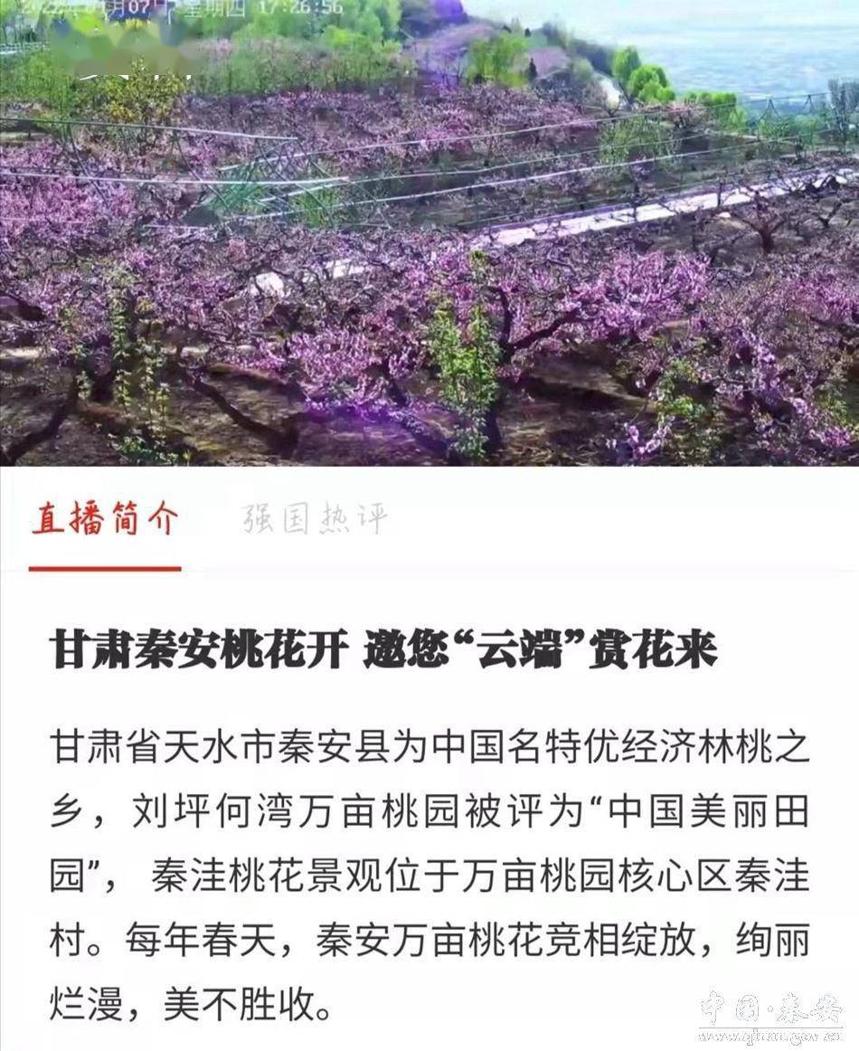 秦安桃花会路线图图片