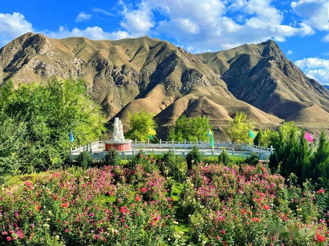 初春的乌金峡河水收起了曾经的黄色浊浪变为墨绿色