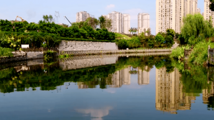 本次获得"最美家乡河"称号的荣峰河发源于荣昌区直升镇烂木桥水库