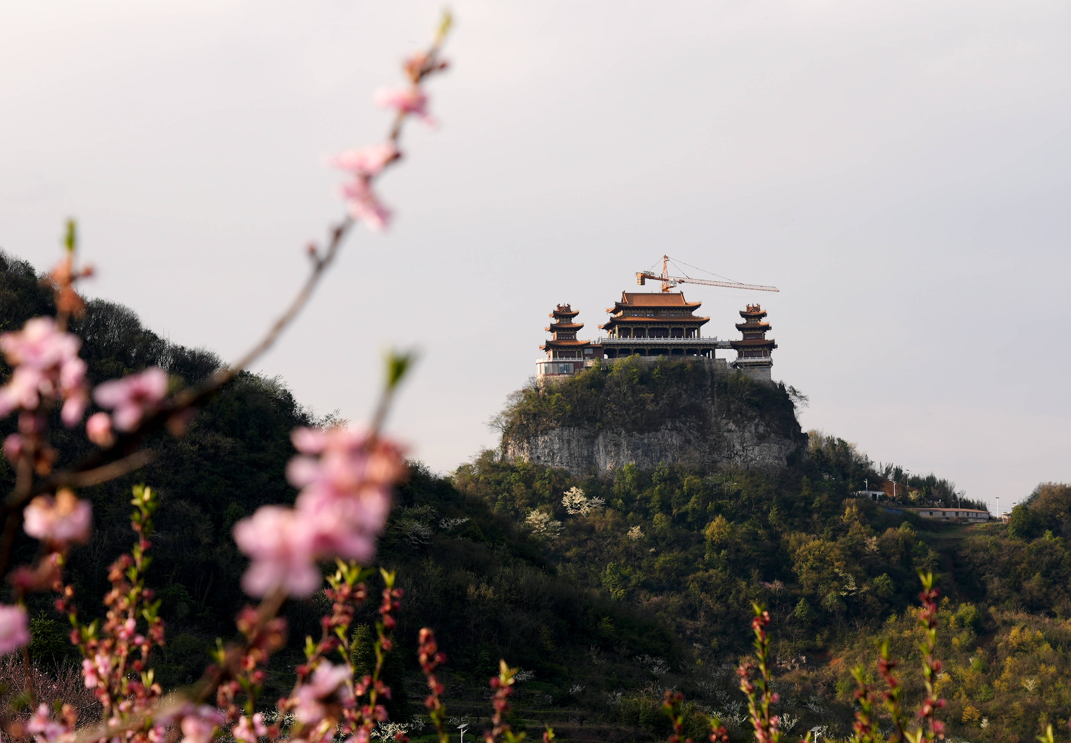 清镇市:桃红李白春意浓 灿若云霞满眼春_李子花_溪村_微风