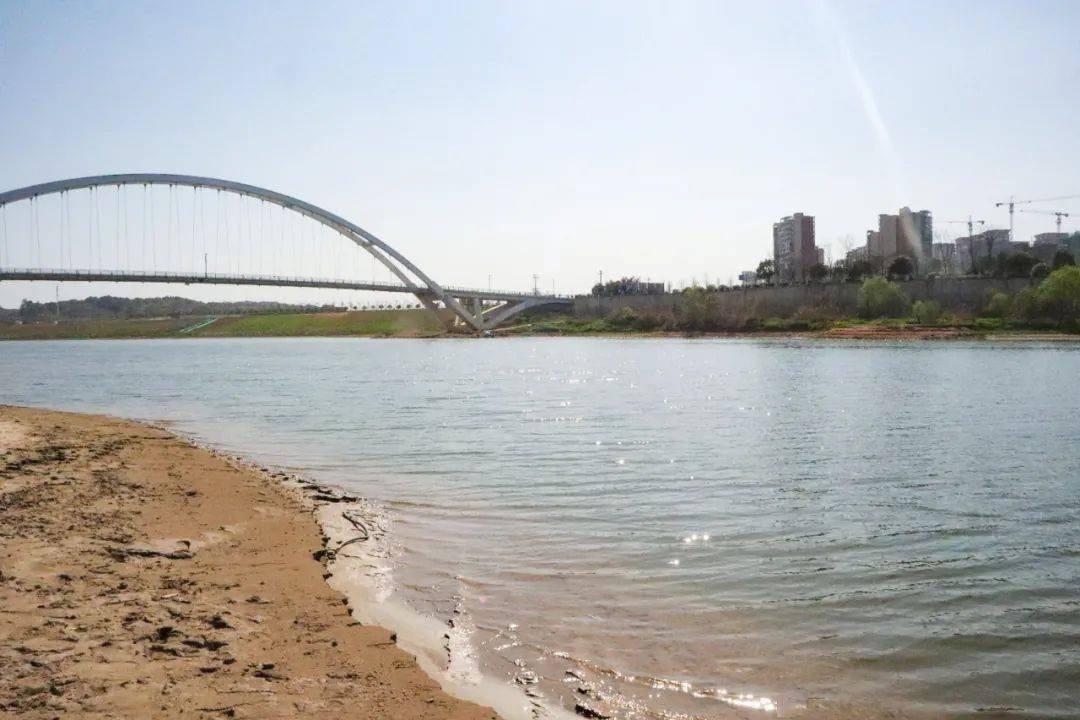 他叫沈建辉,37岁,是湘江集团湘江运营公司巴溪洲项目安保队长,曾2次跳