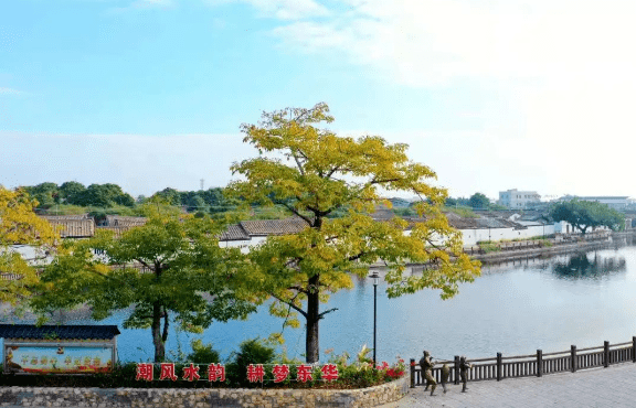 第四站:特色農業園(或潮陽博物館/潮汕風主題公園)