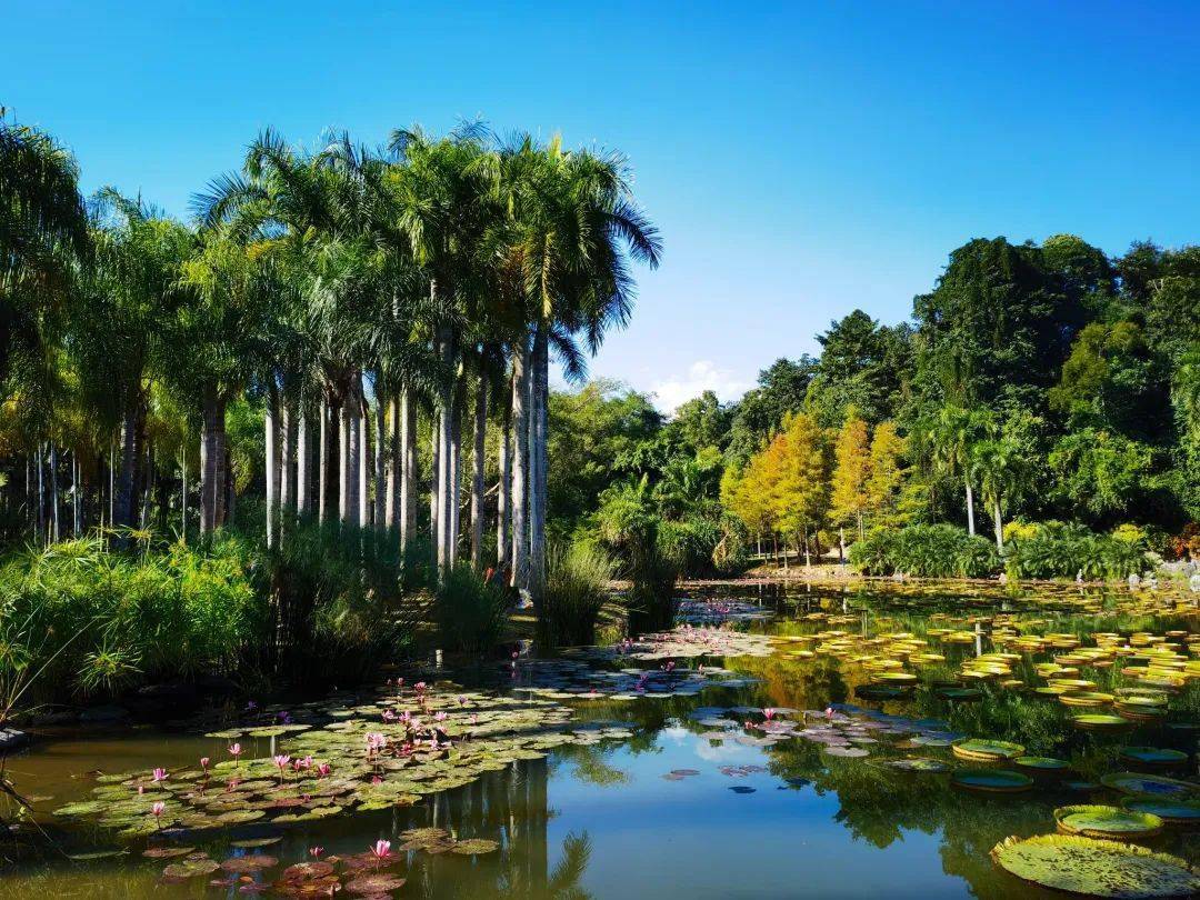 内蒙古蚂蚁户外:动植物王国,彩之云南.