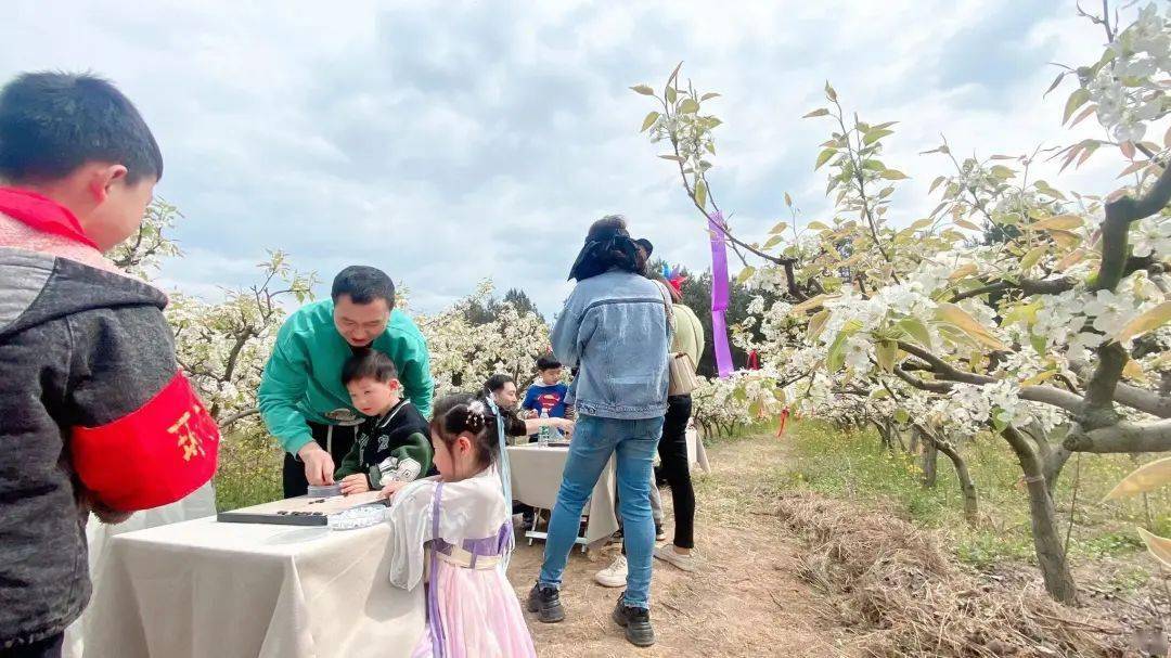 免费音乐节!看梨花仙子,挖野菜,打卡琴棋书画,免费钓鱼!