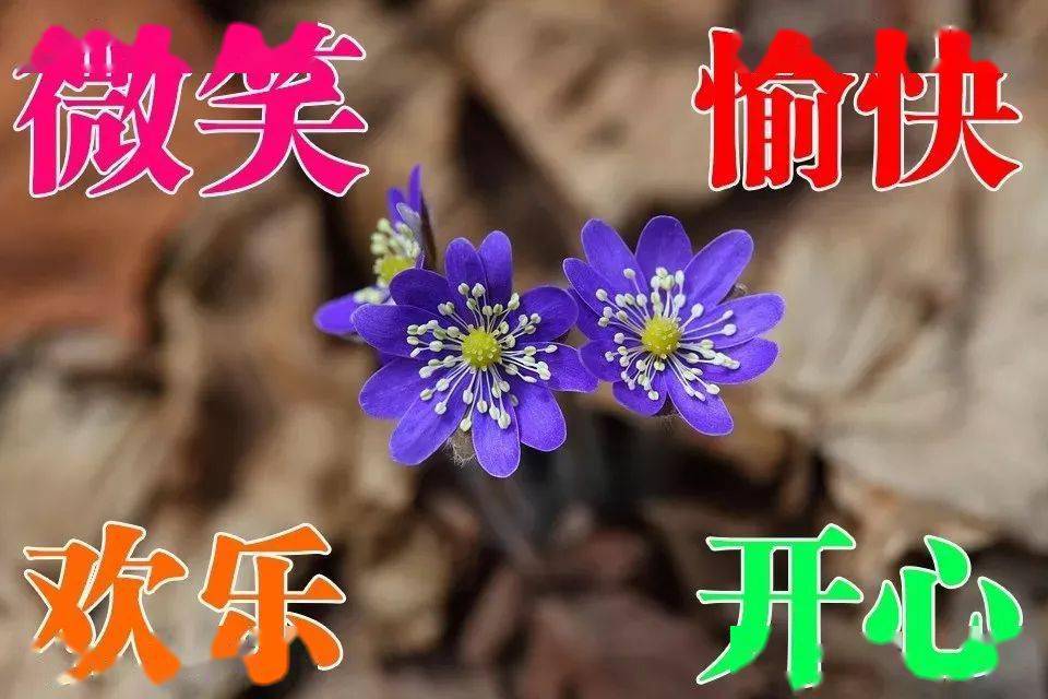 干货满满（2021最美祝福语）2020最美的祝福图片 第2张