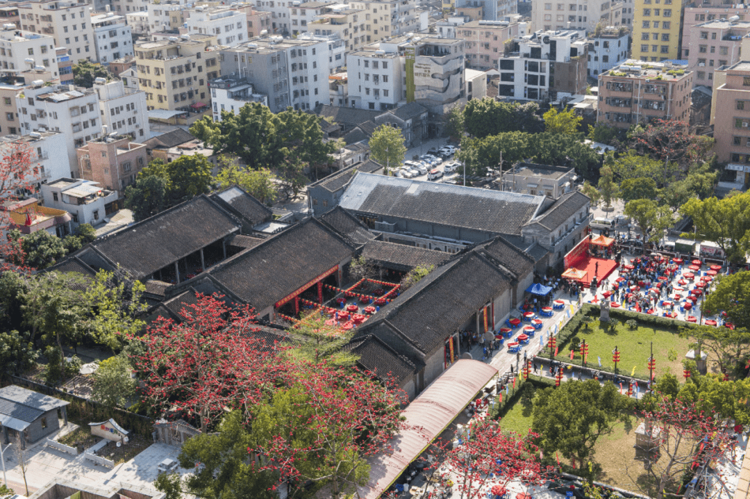 “我在北山等你”!珠海这条“美丽街巷”火了_文化_发展_议事会