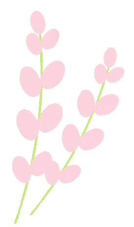 ���Ķ���������������Ǭ��