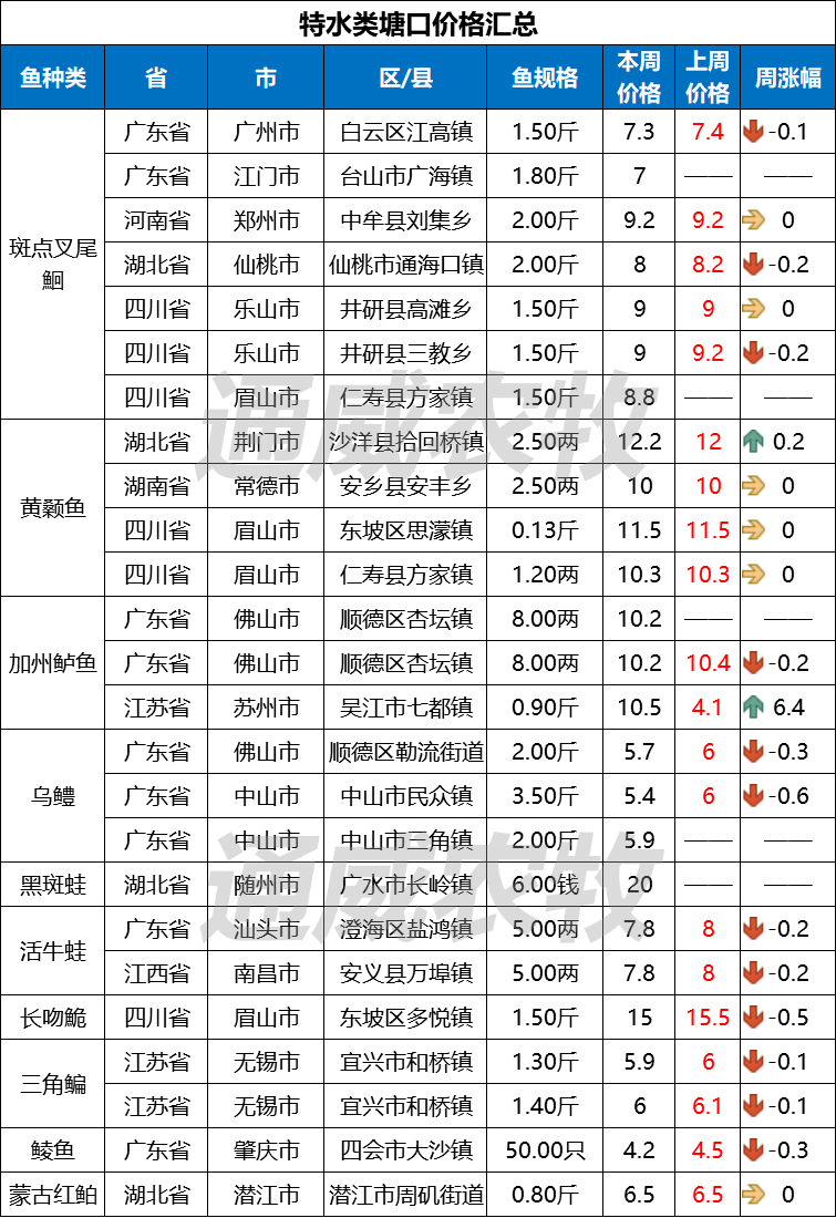 水鱼规则图片