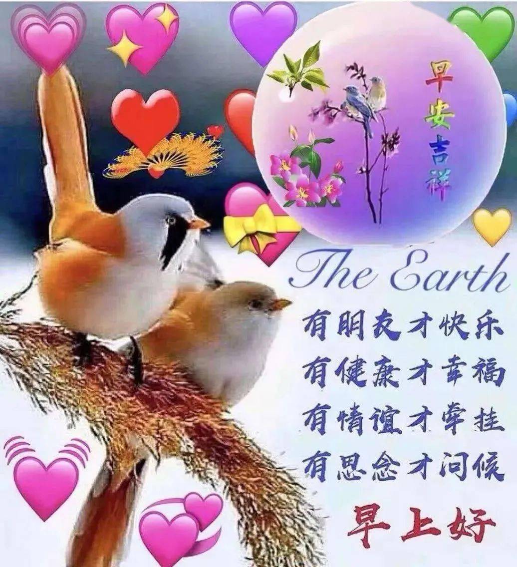 100张非常漂亮的早安图片大全！今日最好看的早上好问候语好图~- 大数跨境, image size:1036x1136