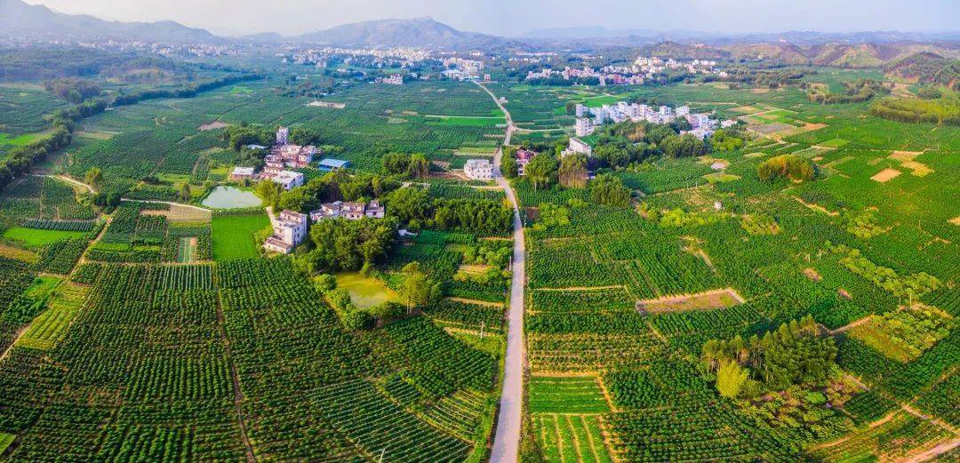 梧州 1!_藤县_和平镇_加工