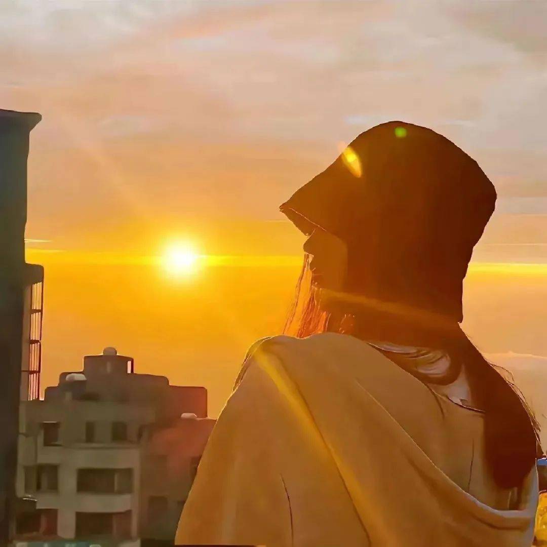 自由的人到处磕头拜礼 求人收留她的自由风吹开了我这朵可爱的花三观