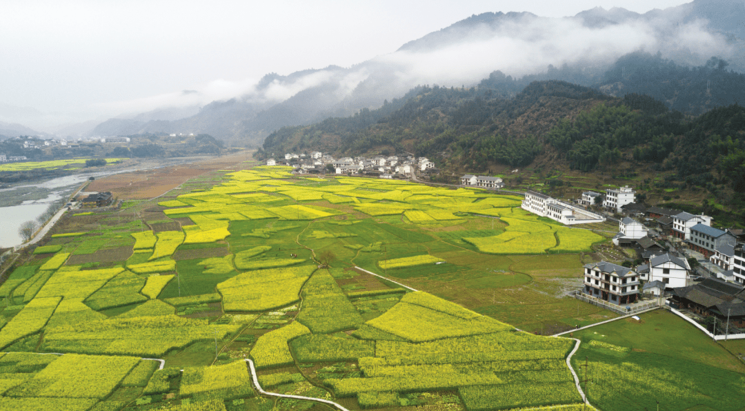 他山之石丨湖南省溆浦县北斗溪镇坪溪村:绘就文明乡村新画卷_生态_文化_油菜花