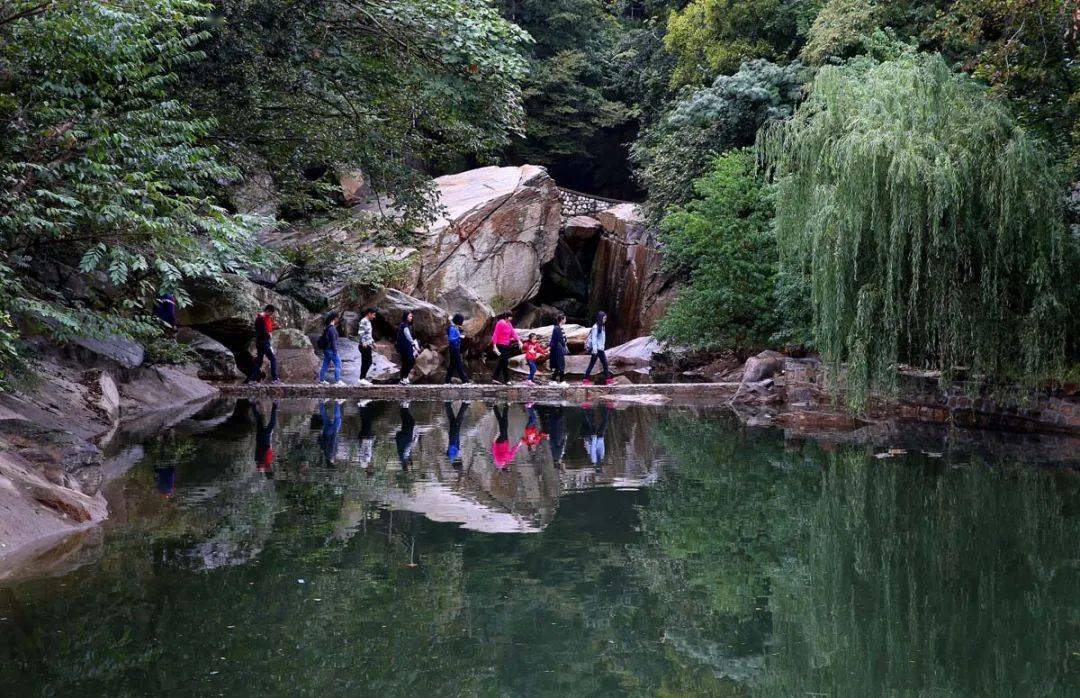 美翻了我的村99 | 江苏省连云港市连云区黄窝村:"黄沙窝"变成"黄金