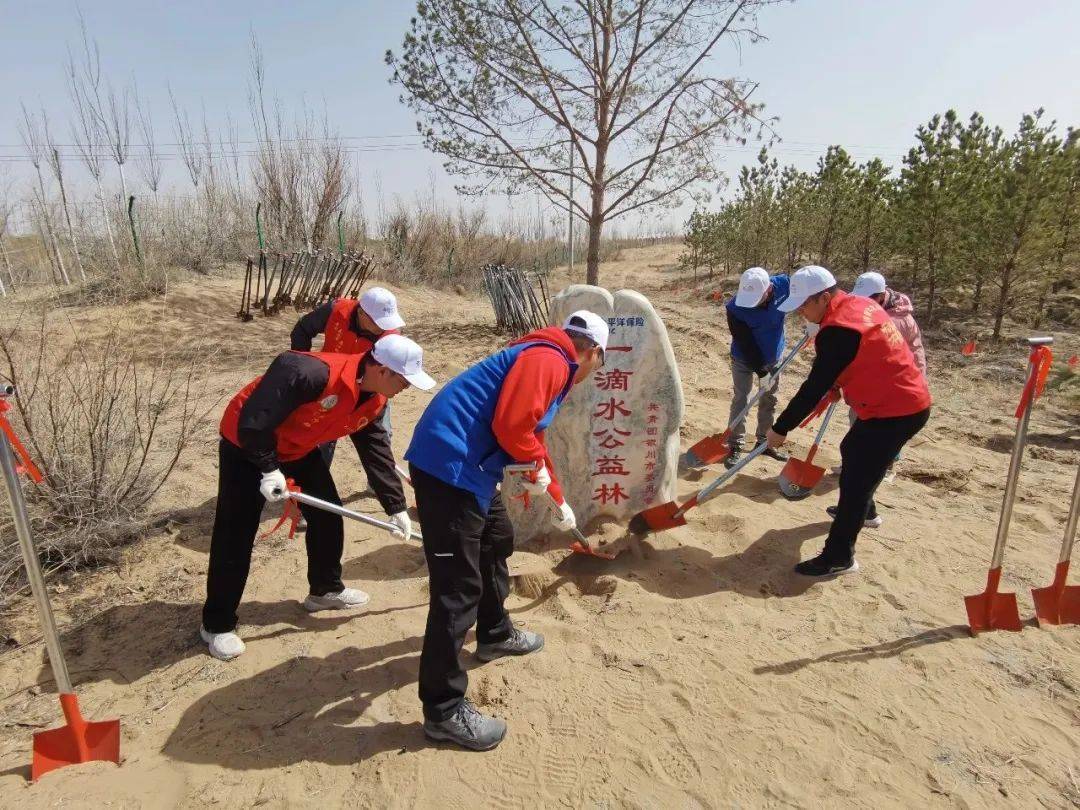 同植一片绿共爱一个家！银川市举办青年共植公益林活动 绿色 治沙 白芨滩