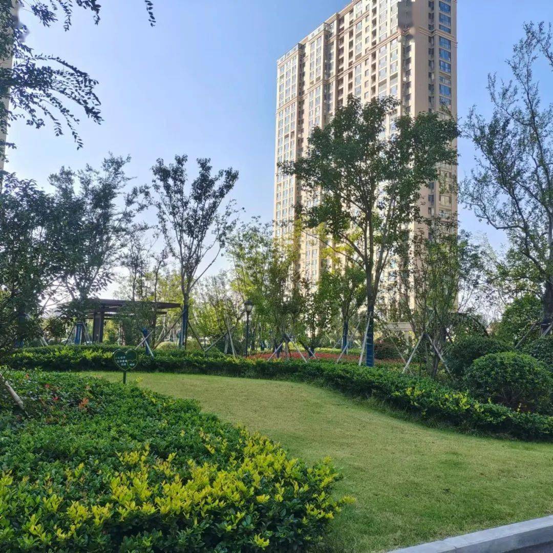 济宁金色兰庭·香堤小区获评2022年度济宁市"园林式居住区"称号_业主
