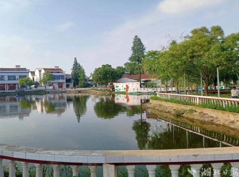 云梦县城关镇获评"湖北省生态乡镇"_工作领导小组_建设_保障