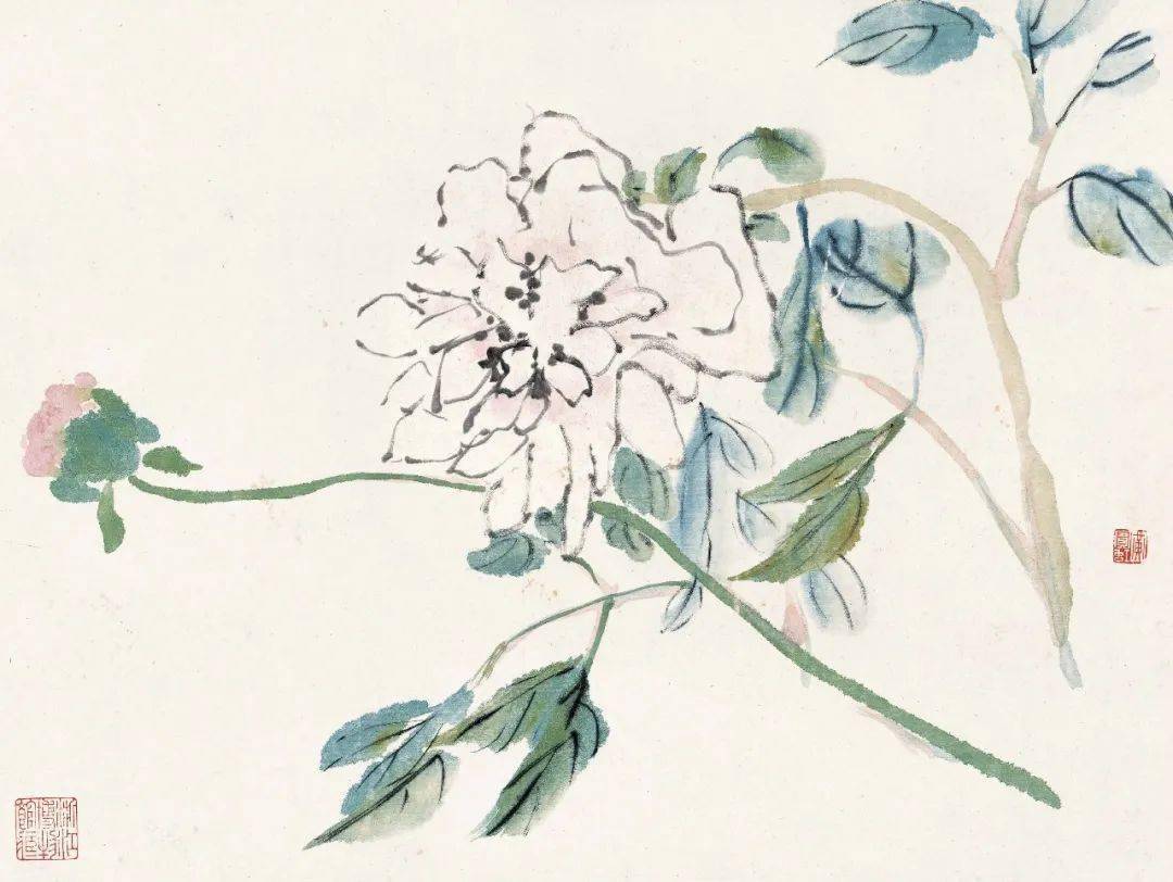 潘天寿：黄宾虹的花鸟，有水流花放之妙_cm_浙江省博物馆_花卉