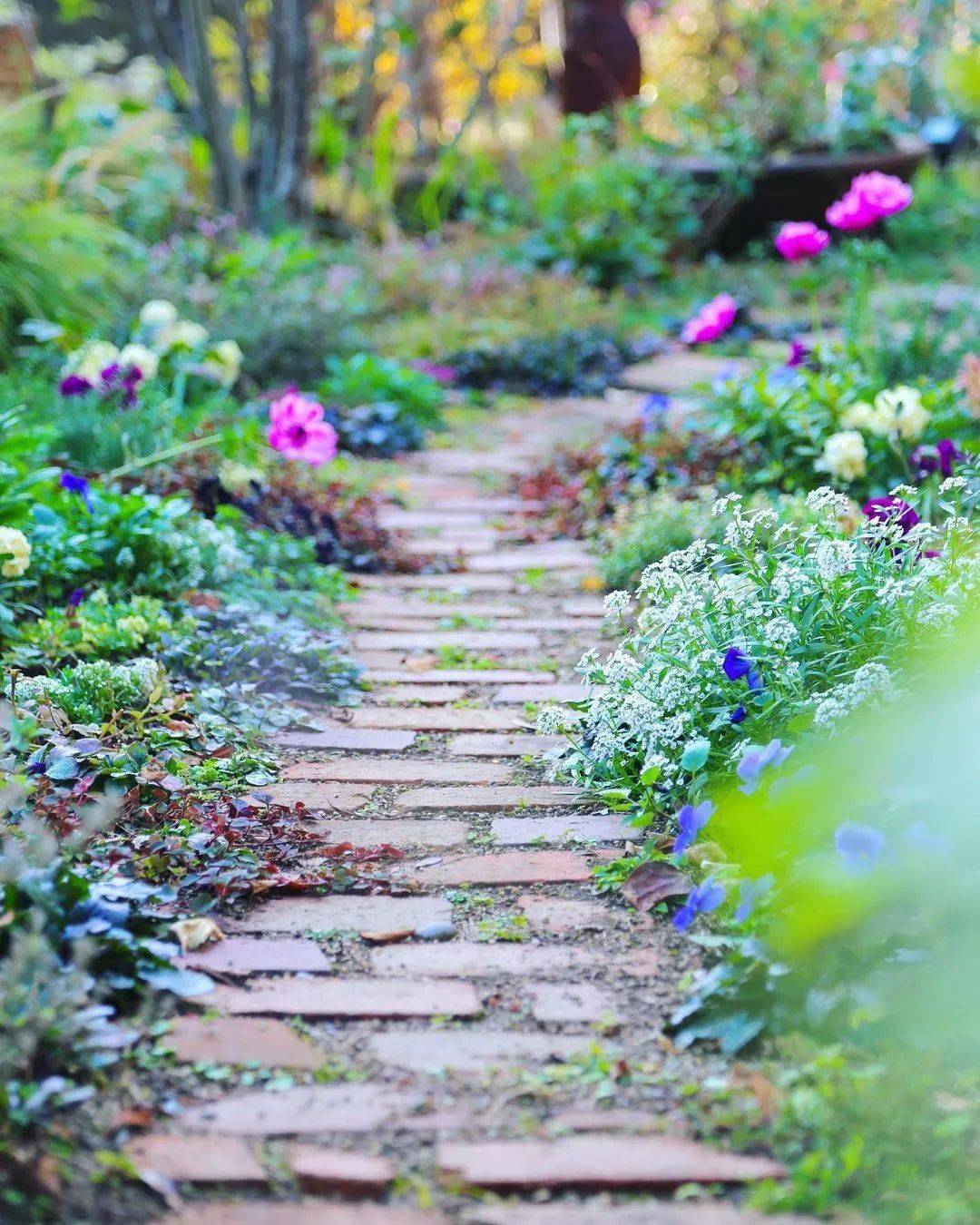 花园小径,美丽自然_photo_by_花海