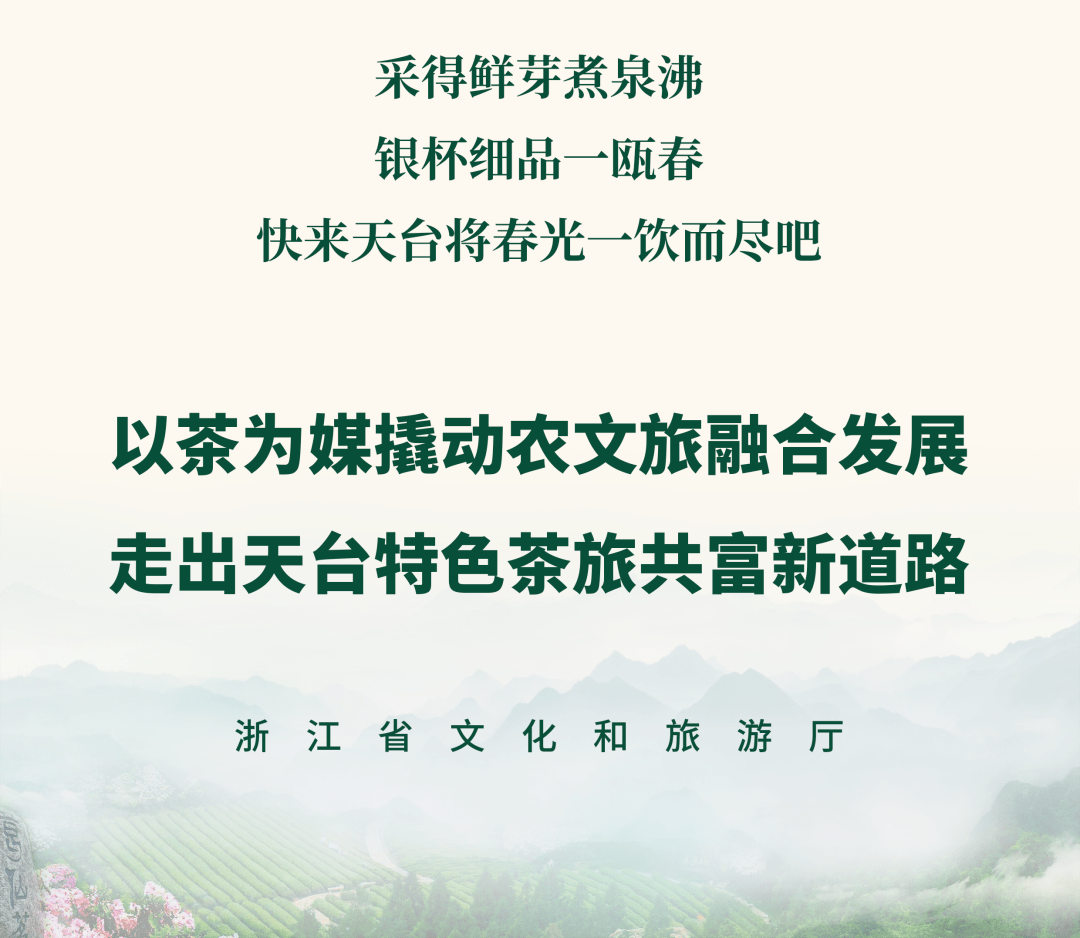 天台山云雾茶的价格表图片