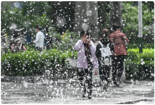 生活贴 | 又是一年春来“雪”，杨柳絮什么时段高发？谜底在那里→