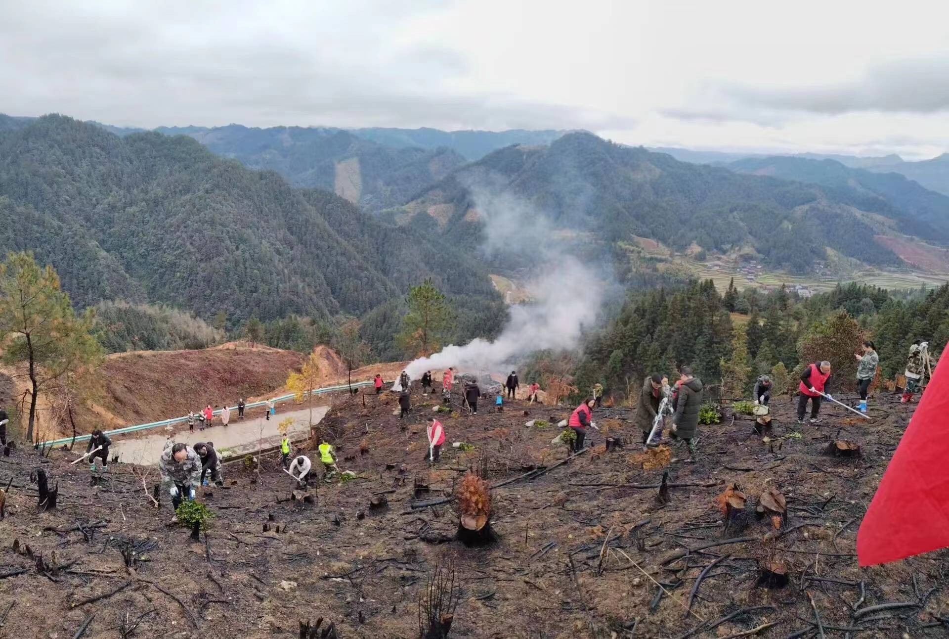 锦屏县偶里乡:春来油茶种植忙 乡村振兴添新绿_产业_政府_群众