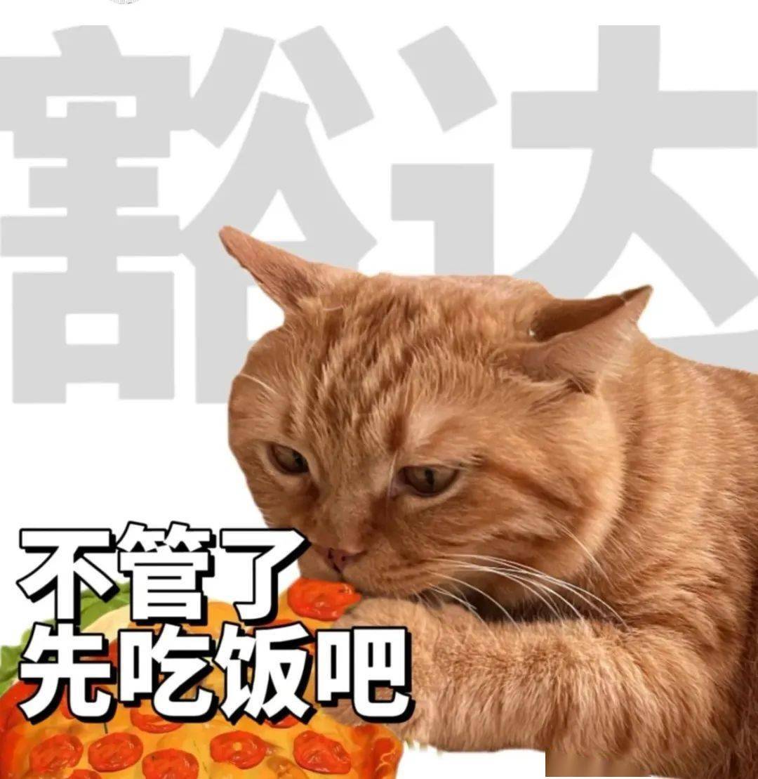 沙雕可爱表情包 | 害羞又难过_熊猫头_什么_事情