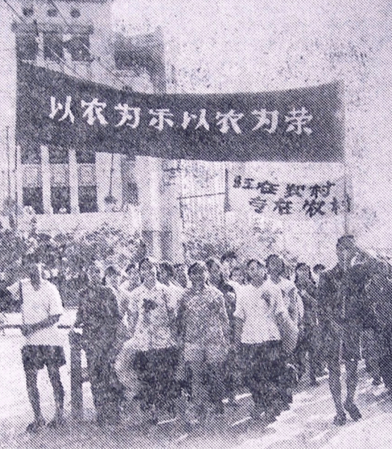 一,有计划地开展城镇知青上山下乡