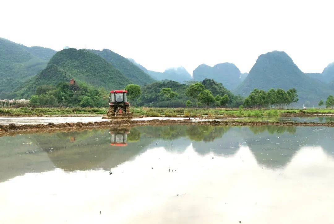 引得活水润良田 兴宾春耕绘新卷