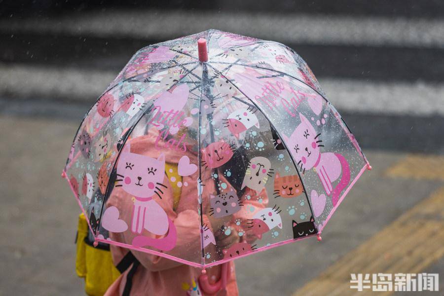 4月4日早高峰时段,南京路与敦化路路口,大批上班族撑着雨伞走在上班路