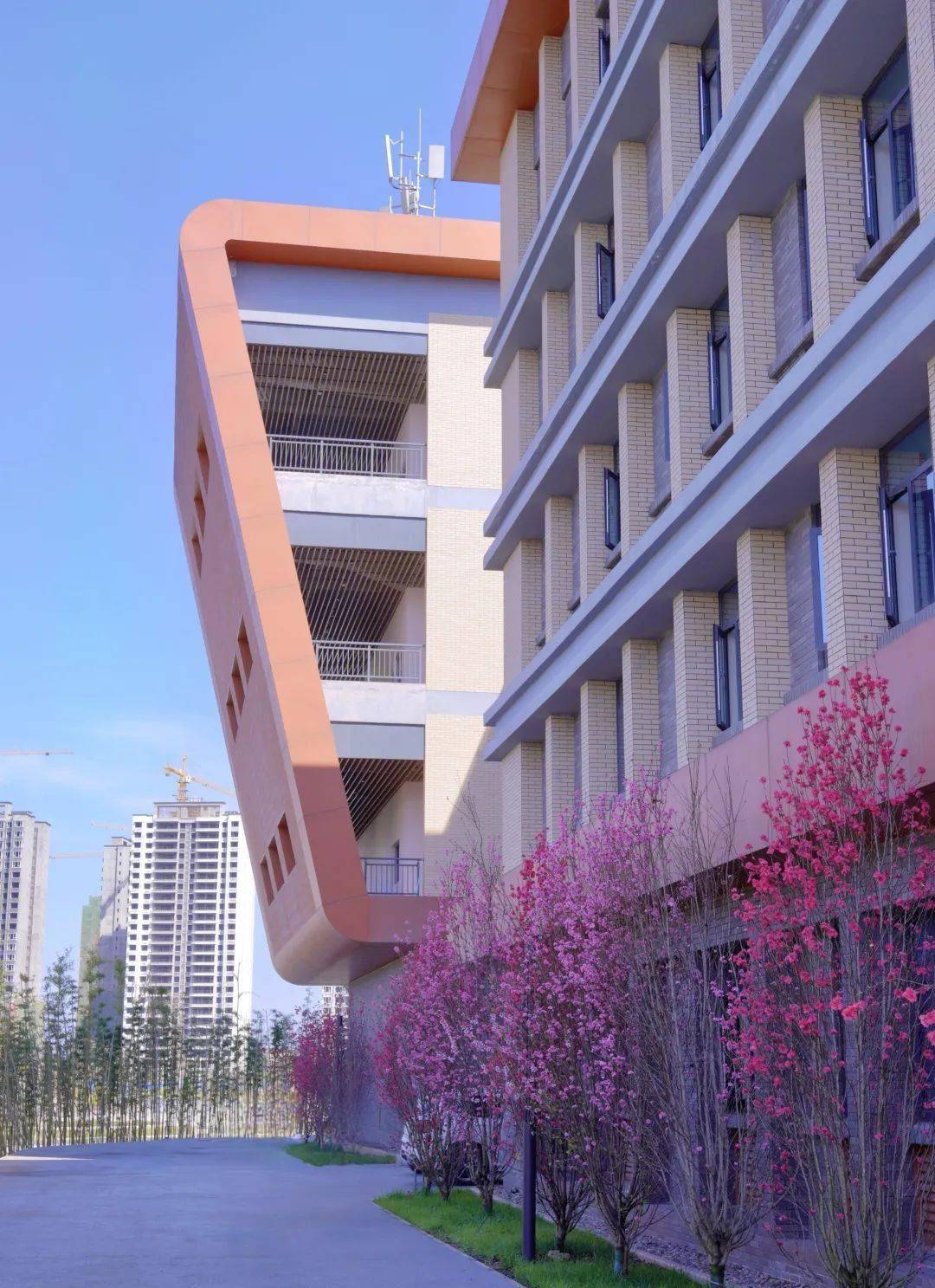 春天来了万物正在跟你say hi