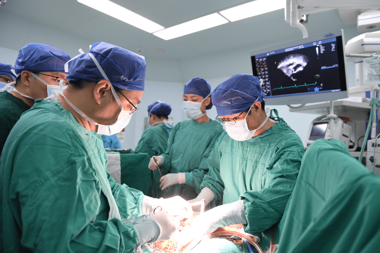 心脏也可"减肥",河南完成首例"微创心肌旋切手术"_郑先生_范太兵_治疗