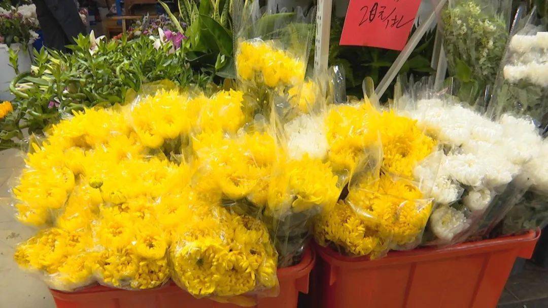临近清明,以菊花为主的祭祀花束需求大增,市民文明祭祀意识逐渐提高