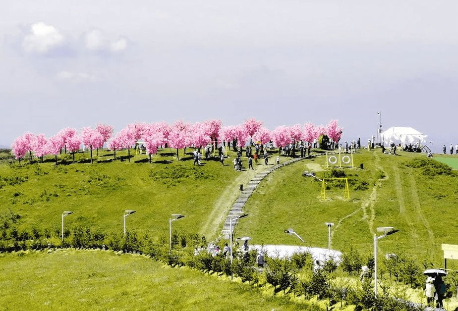 满满干货（张家川非遗）张家川特色美食 第10张