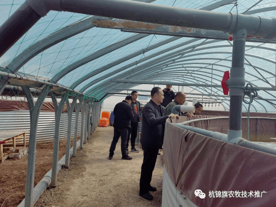 厉害了！内蒙古也可打造工厂化养虾1年生产3茬每亩年效益达45