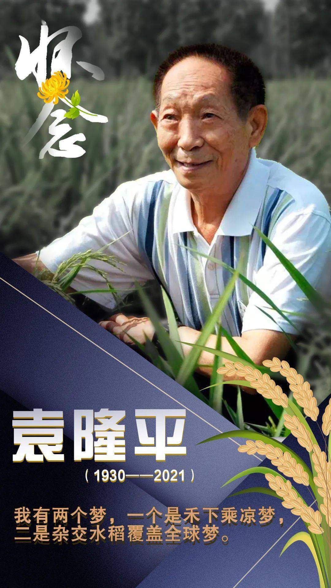 这个清明,怀念那些不能忘却的面孔