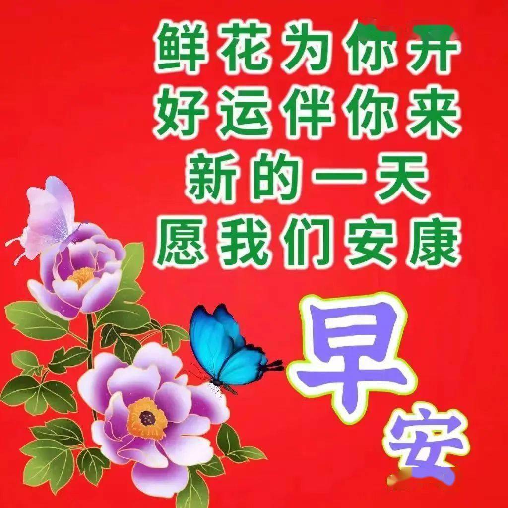 感謝陪伴,不負遇見,一路有你,真好!_李小託_生命_公眾