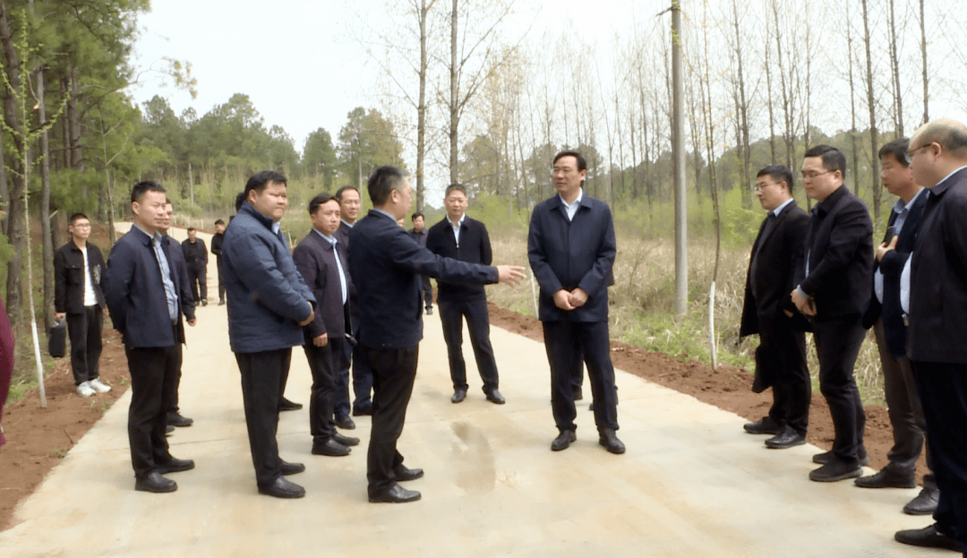 李伟主持召开国土绿化推进会议_工作_各乡镇_王建平