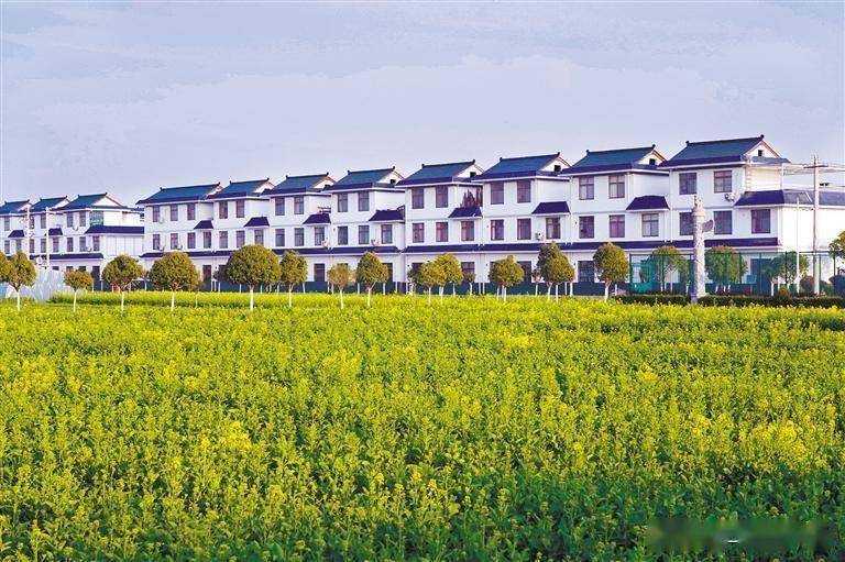 家在四面春风里_汉台区_汉中市_新农村