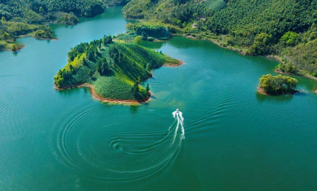 他山之石 | 安徽省宁国市青龙乡龙阁村:青龙湖畔 秀美水乡_文明村_储